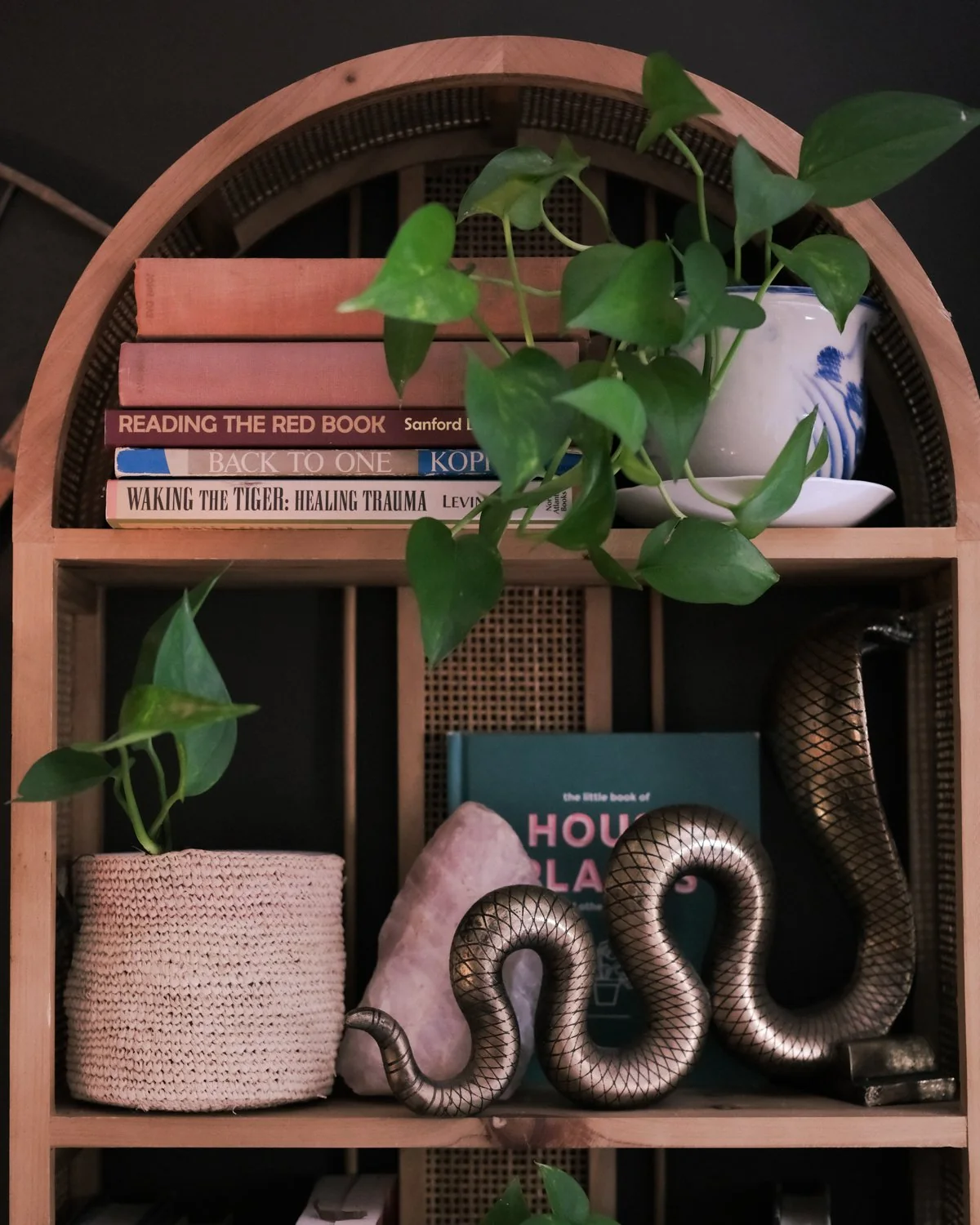 An arched wooden bookshelf with plants, books and a carved snake